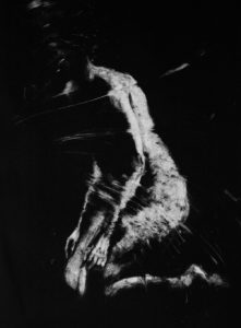 Monotype, Clara Lieu